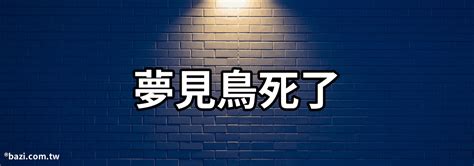 夢到很多鳥死掉|夢見鳥死是什麽意思